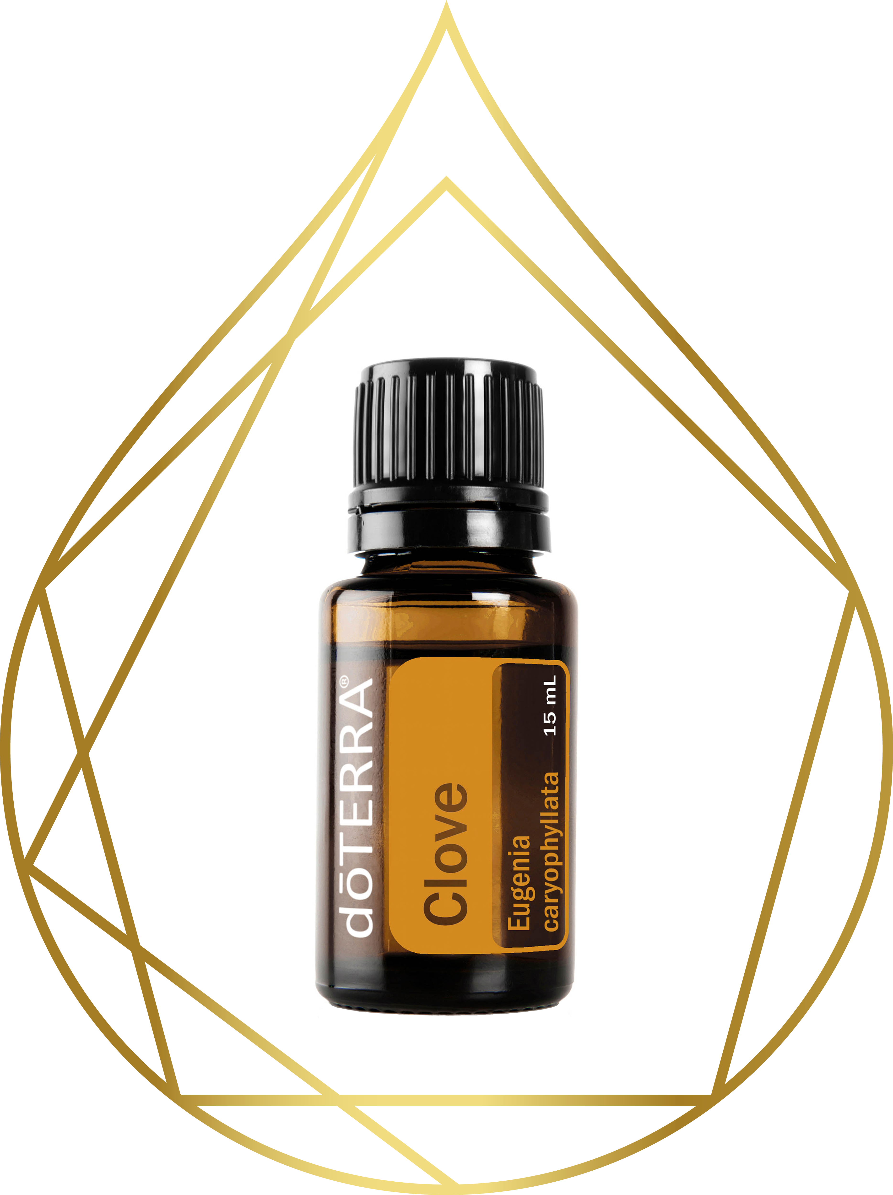 Clove doterra deals