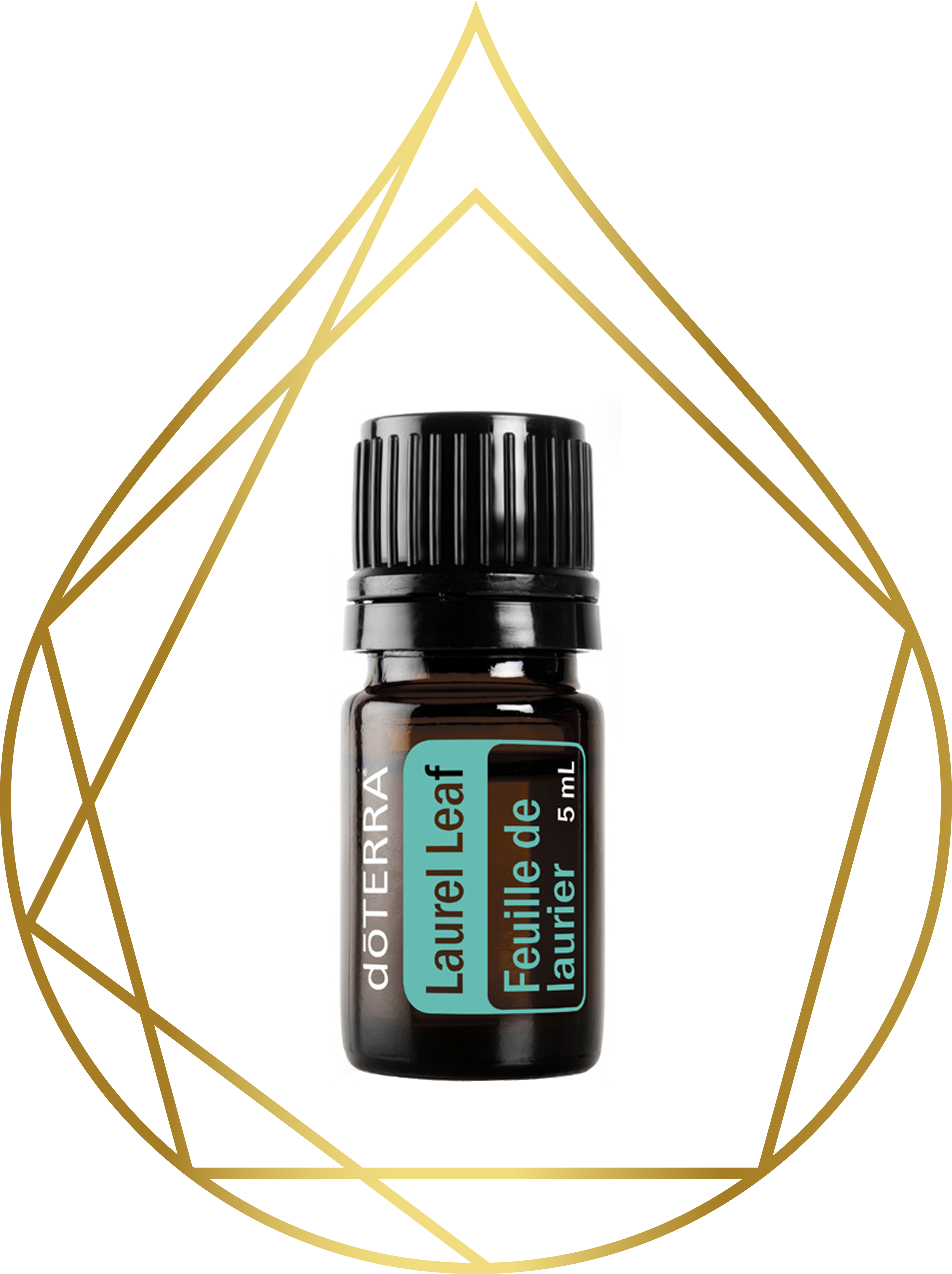 Laurel Leaf My Pure Essential Oils